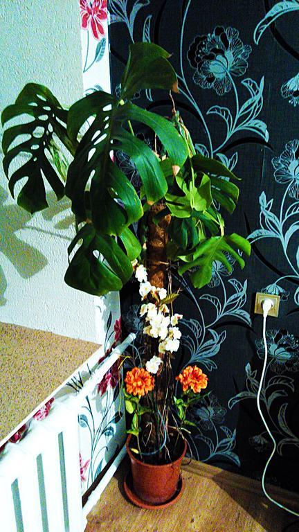 Picturesque Apartment Into Antique Fortress Daugavpils Ruang foto